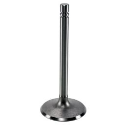 Intake Valve