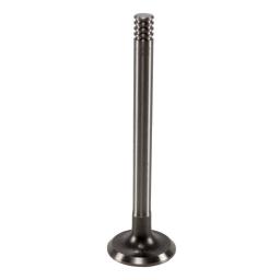 Exhaust Valve