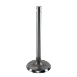 Intake Valve