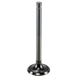 Exhaust Valve