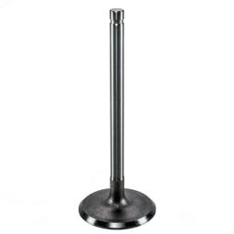 Intake Valve