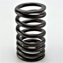 Valve Spring