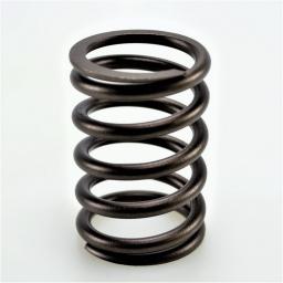 Valve Spring
