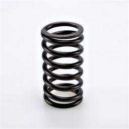 Valve Spring
