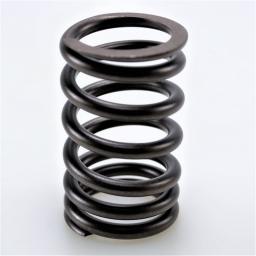 Valve Spring