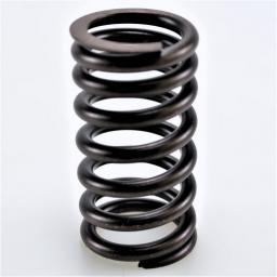 Valve Spring