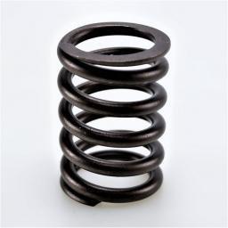 Valve Spring