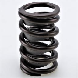 Valve Spring