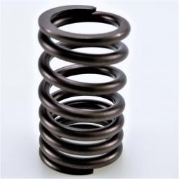 Valve Spring