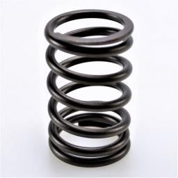 Valve Spring