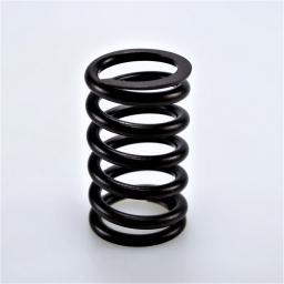Valve Spring