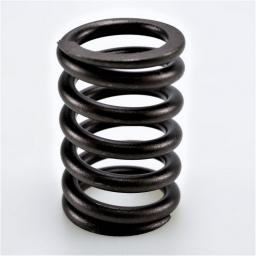 Valve Spring