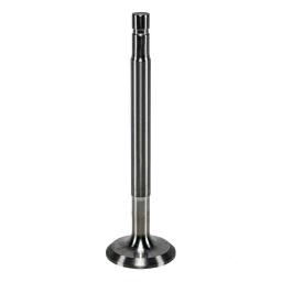 Exhaust Valve