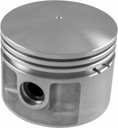 Egge Piston Set with Pins
