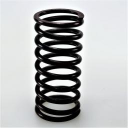 Valve Spring