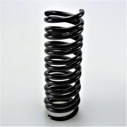 Valve Spring