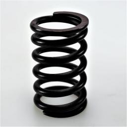 Valve Spring