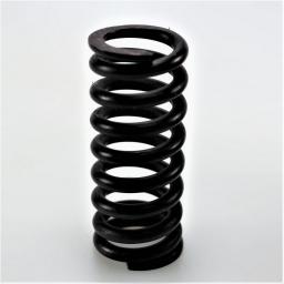 Valve Spring