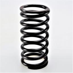 Valve Spring