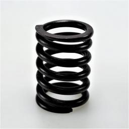 Valve Spring