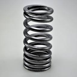 Valve Spring