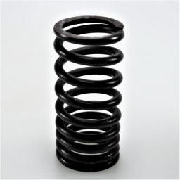 Valve Spring