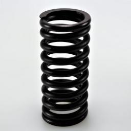 Valve Spring