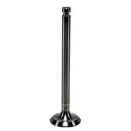 Exhaust Valve