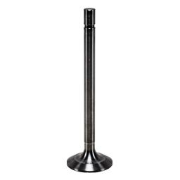 Exhaust Valve