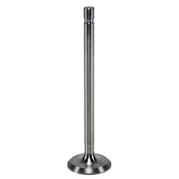 Exhaust Valve