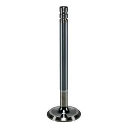 Exhaust Valve