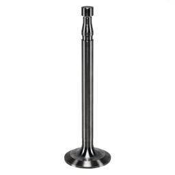 Exhaust Valve