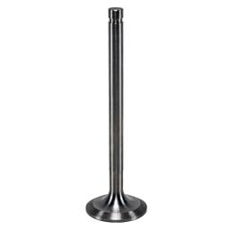 Exhaust Valve