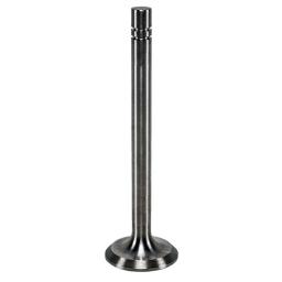 Exhaust Valve