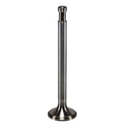 Exhaust Valve