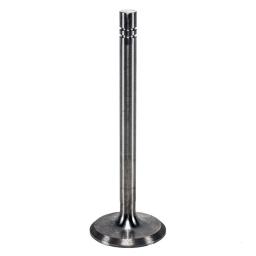 Exhaust Valve