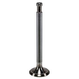 Exhaust Valve
