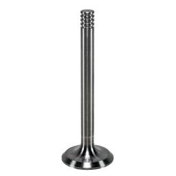 Exhaust Valve