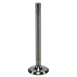 Exhaust Valve