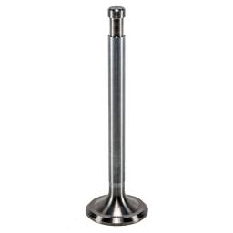 Exhaust Valve
