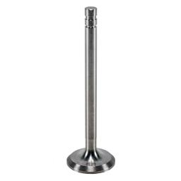 Exhaust Valve