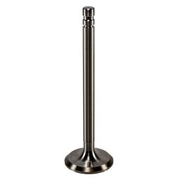 Exhaust Valve