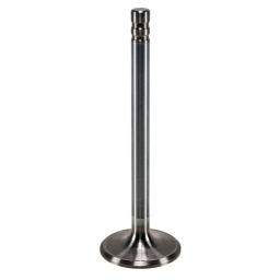 Exhaust Valve