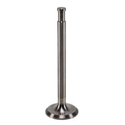 Exhaust Valve