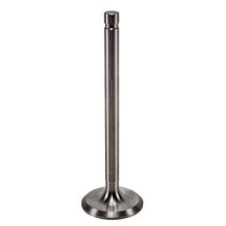 Exhaust Valve