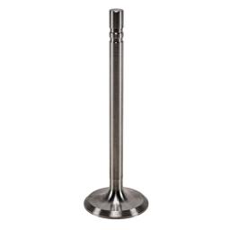 Exhaust Valve