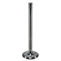 Exhaust Valve