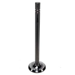 Exhaust Valve