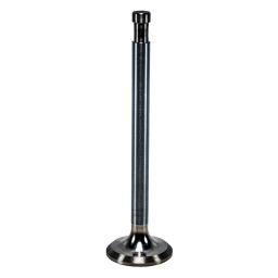 Exhaust Valve