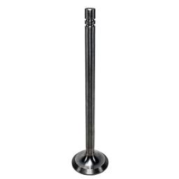 Exhaust Valve